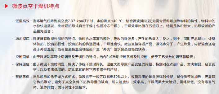 1741570420105353.png 真空微波干燥特点.png